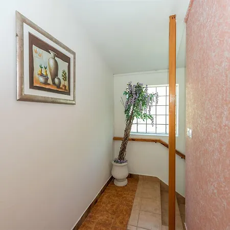 Apartman And Dragica *