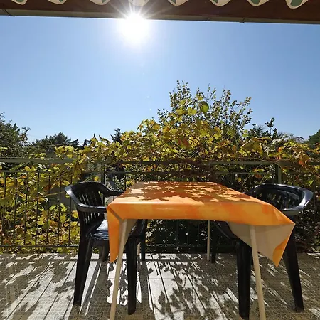 Apartman And Dragica